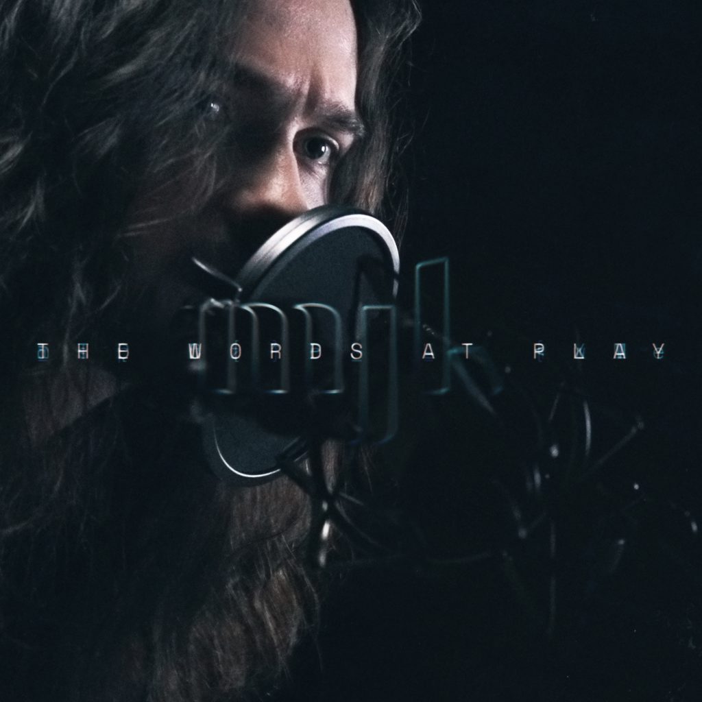 Cover/poster of The Words At Play